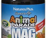 ANIMAL PARADE MAG KIDZ CHEWABLE 90 - NP