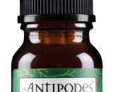 Worship Skin Defense Antioxidant Serum MINI: 10ml